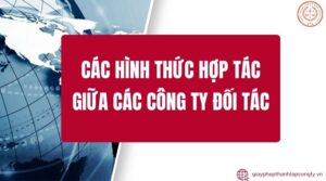 Các hình thức hợp tác giữa các công ty đối tác