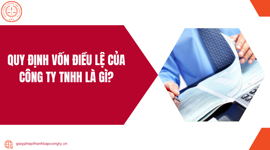 Quy định Vốn điều lệ của công ty TNHH là gì?