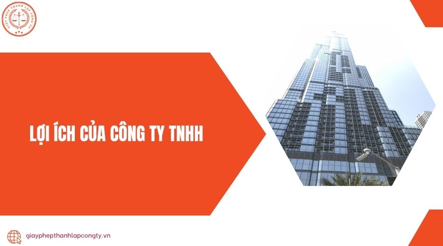 Lợi ích của Công ty TNHH