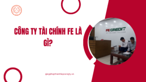 Công ty tài chính FE là gì?