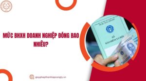 Mức BHXH doanh nghiệp đóng bao nhiêu