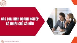 Các loại hình doanh nghiệp có nhiều chủ sở hữu.jpg