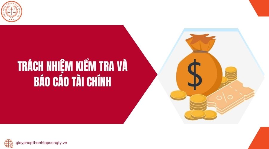 Trách nhiệm kiểm tra và báo cáo tài chính