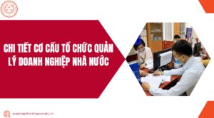 Doanh nghiệp tư nhân đóng thuế khoán ở đâu?.jpg
