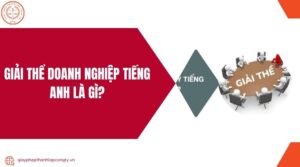 Giải thể doanh nghiệp tiếng anh là gì?.jpg