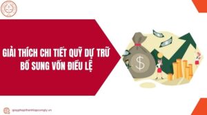 Giải thích chi tiết quỹ dự trữ bổ sung vốn điều lệ.jpg