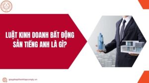 Luật kinh doanh bất động sản tiếng Anh là gì?.jpg