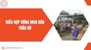 Mẫu hợp đồng mua bán trâu bò.jpg