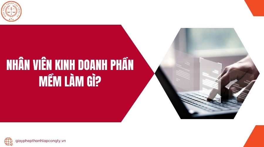 Nhân viên kinh doanh phần mềm làm gì?.jpg