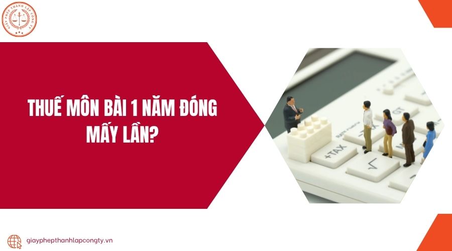 Thuế môn bài 1 năm đóng mấy lần?.jpg