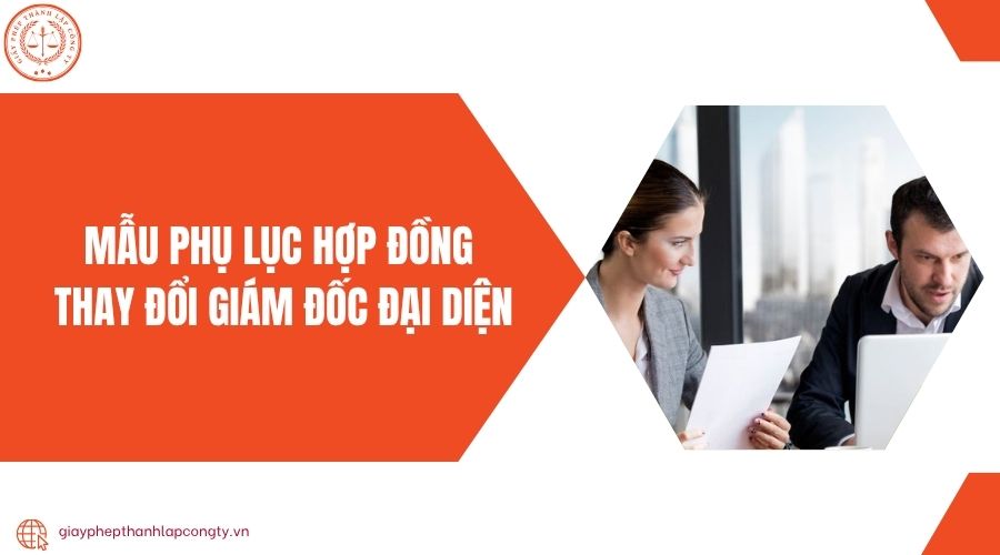 Mẫu phụ lục hợp đồng thay đổi giám đốc đại diện
