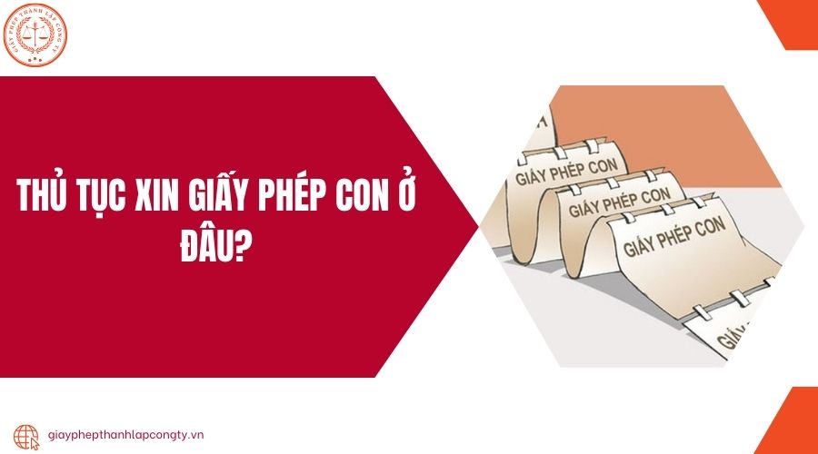Thủ tục xin giấy phép con ở đâu?