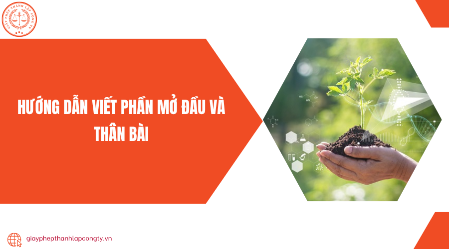 Hướng dẫn viết phần mở đầu và thân bài