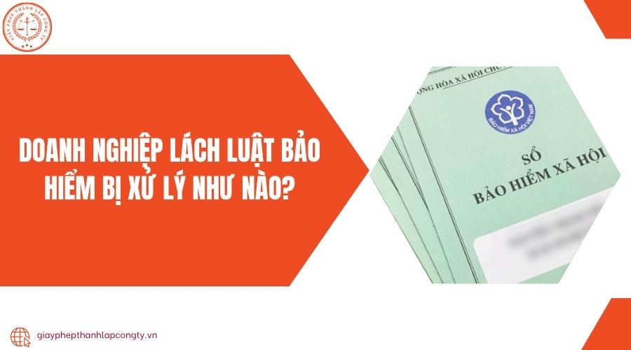 Doanh nghiệp lách luật bảo hiểm bị xử lý như nào?