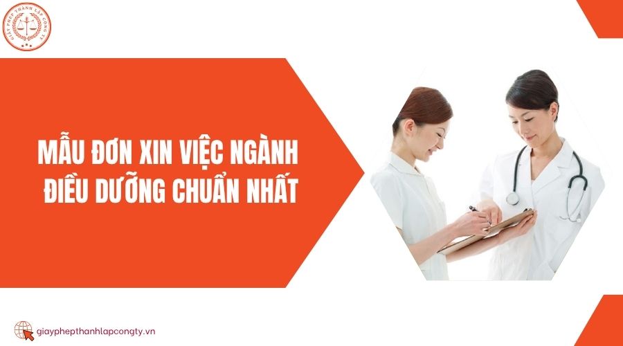 Mẫu đơn xin việc ngành điều dưỡng chuẩn nhất