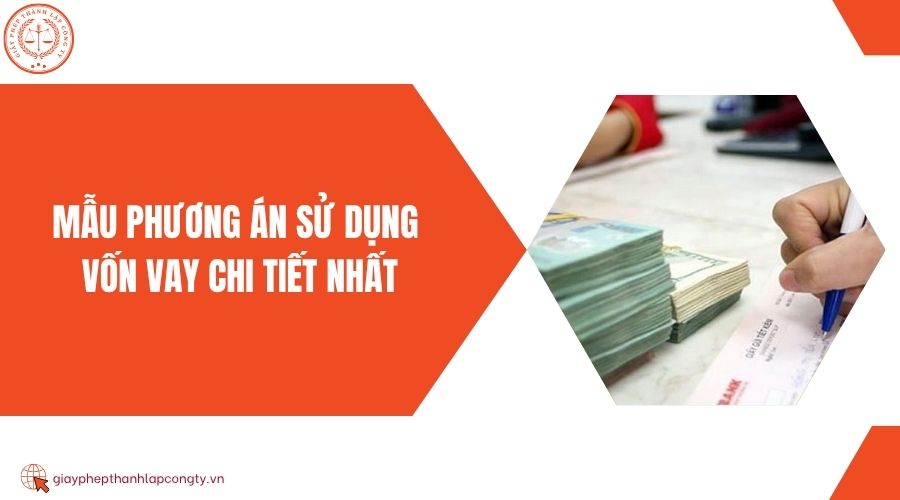 Mẫu phương án sử dụng vốn vay chi tiết nhất