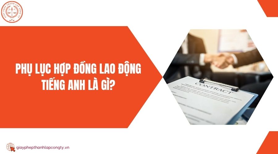 Phụ lục hợp đồng lao động tiếng Anh là gì?