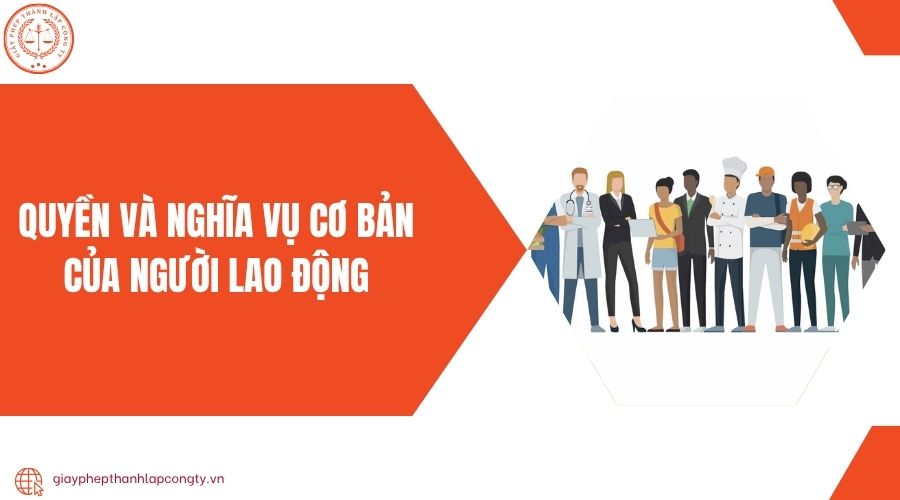 Quyền và nghĩa vụ cơ bản của người lao động