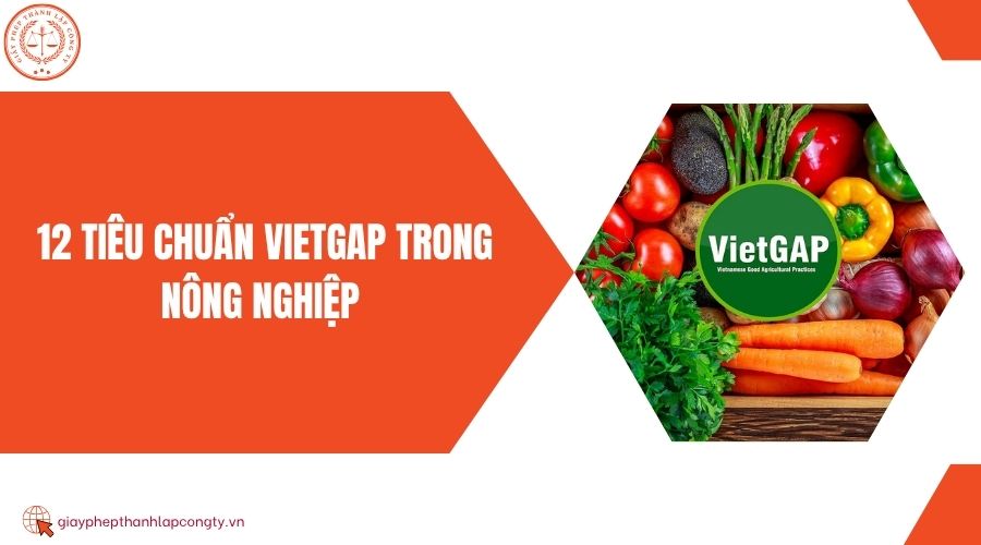 12 tiêu chuẩn VietGAP trong nông nghiệp