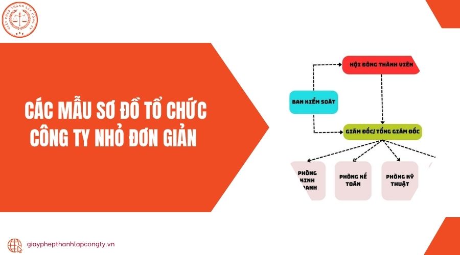 Các mẫu sơ đồ tổ chức công ty nhỏ đơn giản