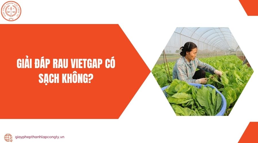 Giải đáp rau VietGAP có sạch không?