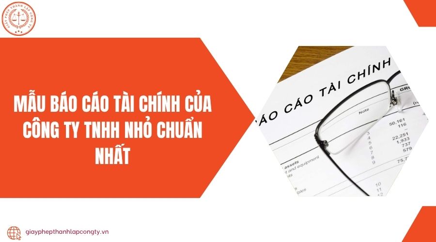 Mẫu báo cáo tài chính của công ty TNHH nhỏ chuẩn nhất