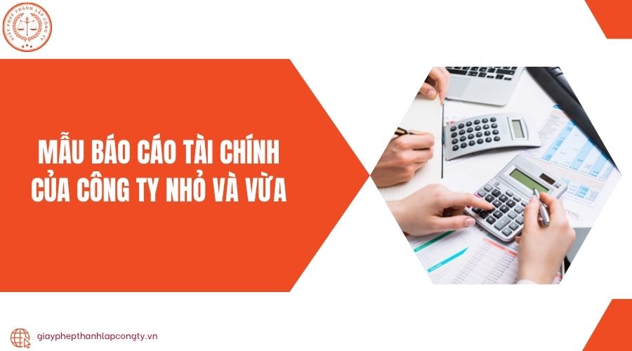 Mẫu báo cáo tài chính của công ty nhỏ và vừa