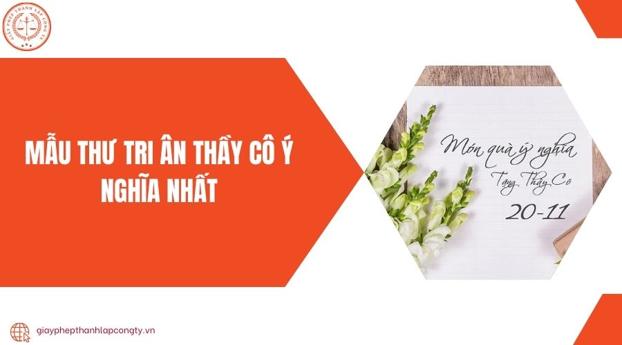 Mẫu thư tri ân thầy cô ý nghĩa nhất