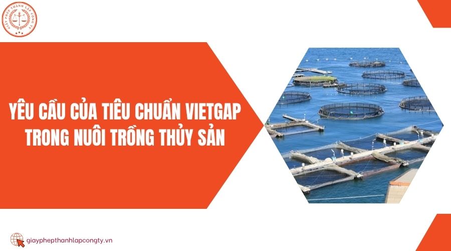 Yêu cầu của tiêu chuẩn VietGAP trong nuôi trồng thủy sản
