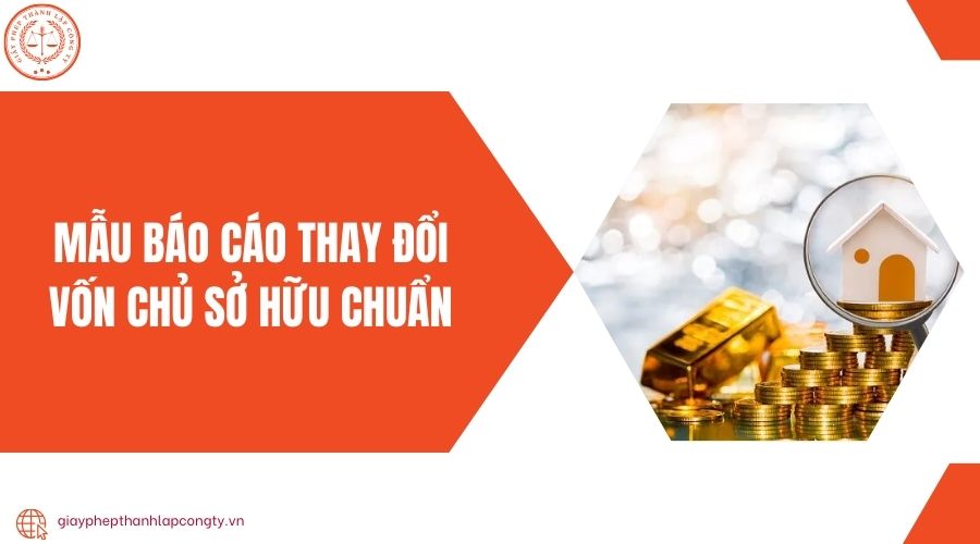 Mẫu báo cáo thay đổi vốn chủ sở hữu chuẩn