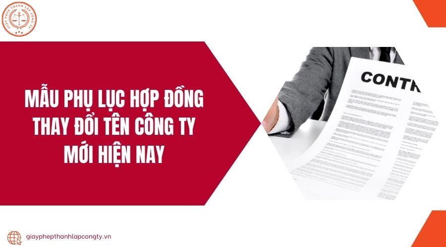 Mẫu phụ lục hợp đồng thay đổi tên công ty mới hiện nay