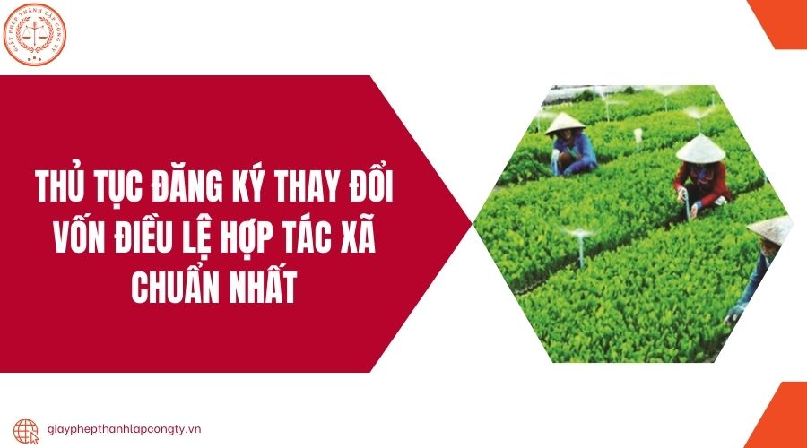 Thủ tục đăng ký thay đổi vốn điều lệ hợp tác xã chuẩn nhất