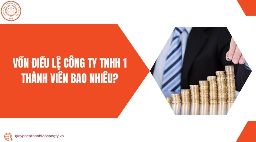 Vốn điều lệ công ty TNHH 1 thành viên bao nhiêu?