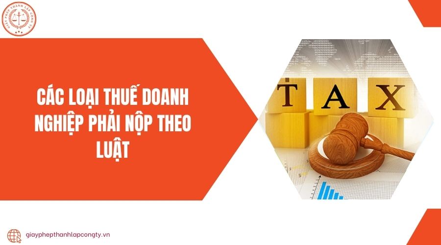 Các loại thuế doanh nghiệp phải nộp theo luật