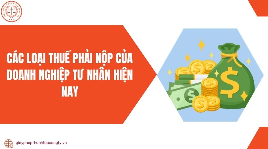 Các loại thuế phải nộp của doanh nghiệp tư nhân hiện nay