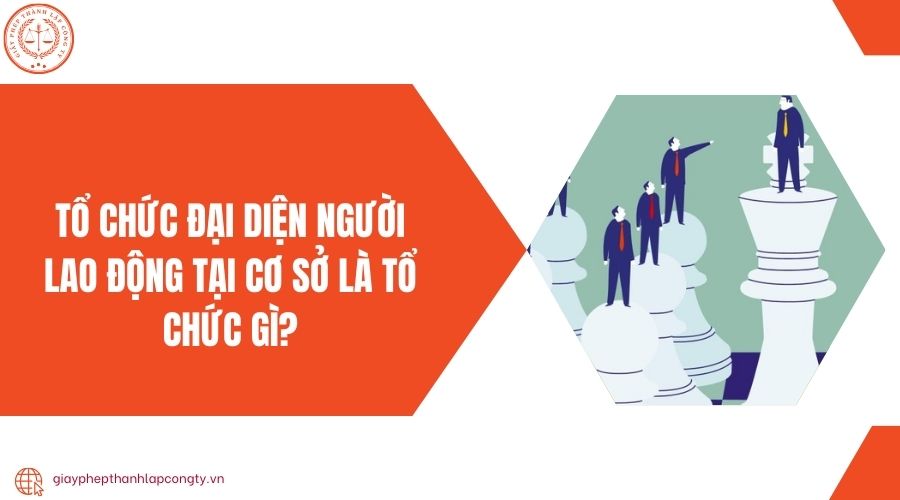 Tổ chức đại diện người lao động tại cơ sở là tổ chức gì?