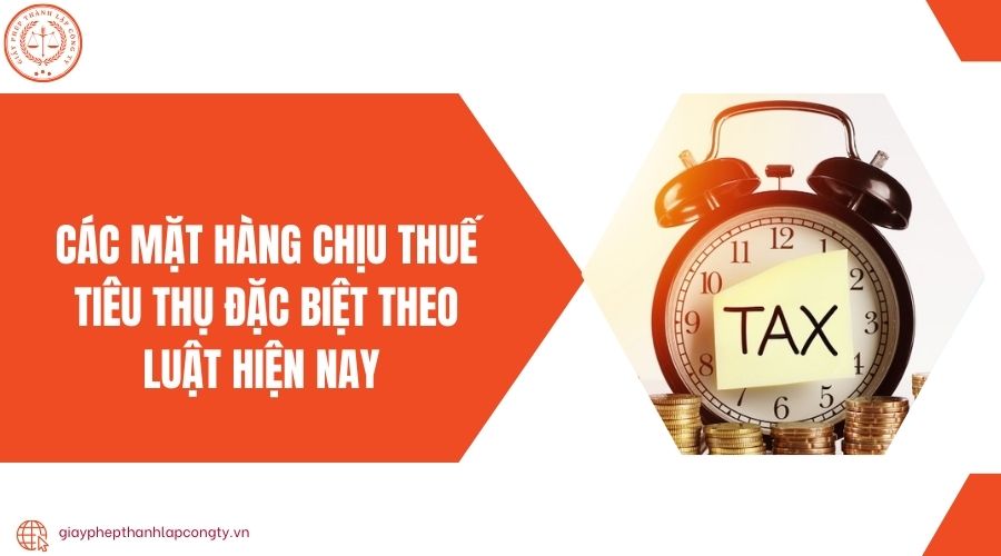 Các mặt hàng chịu thuế tiêu thụ đặc biệt theo luật hiện nay 