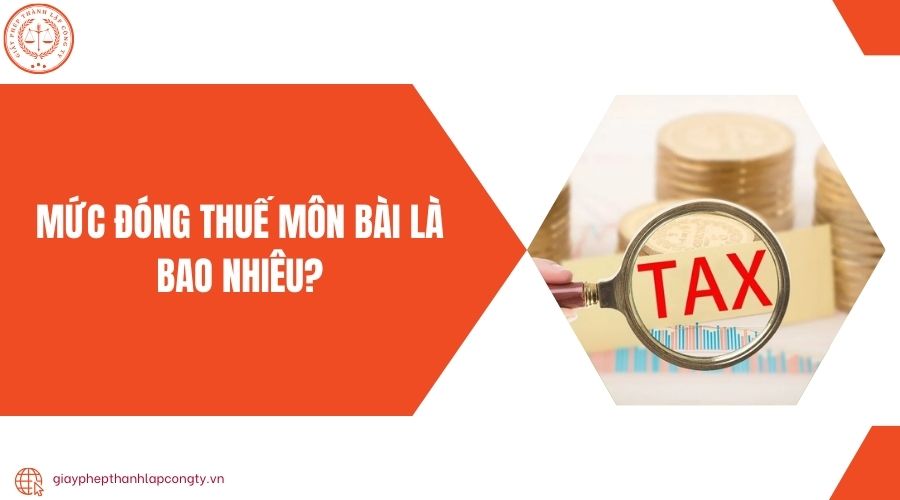 Mức đóng thuế môn bài là bao nhiêu?