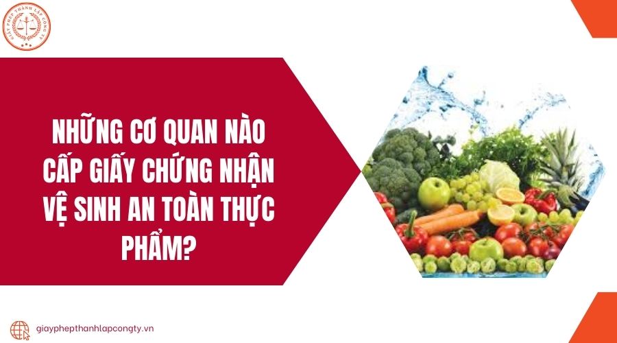 Những cơ quan nào cấp giấy chứng nhận vệ sinh an toàn thực phẩm?