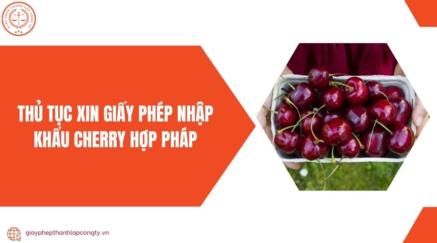 Thủ tục xin giấy phép nhập khẩu cherry hợp pháp