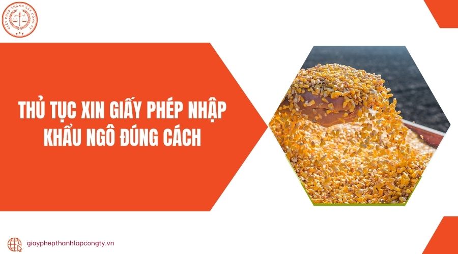Thủ tục xin giấy phép nhập khẩu ngô đúng cách