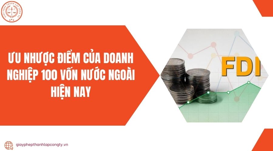 Ưu nhược điểm của doanh nghiệp 100 vốn nước ngoài hiện nay