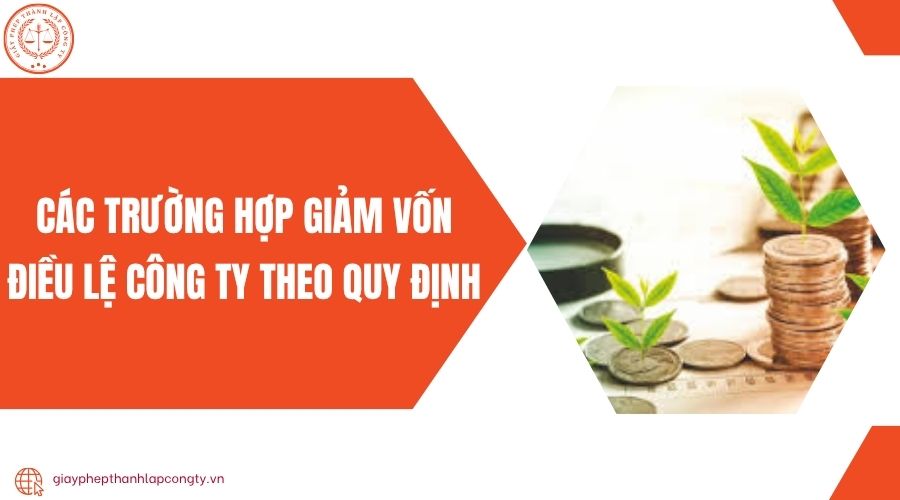 Các trường hợp giảm vốn điều lệ công ty theo quy định