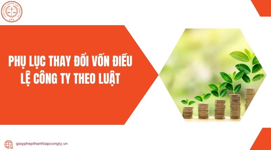 Phụ lục thay đổi vốn điều lệ công ty theo luật