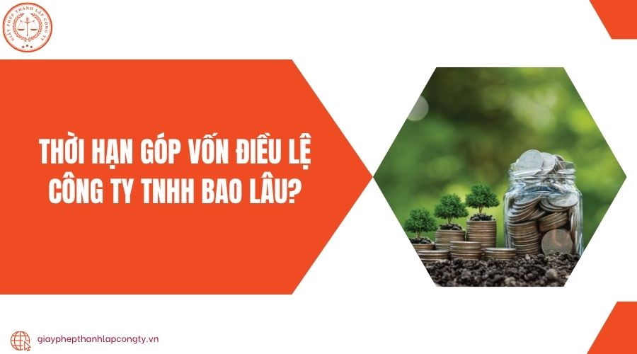 Thời hạn góp vốn điều lệ công ty TNHH bao lâu?