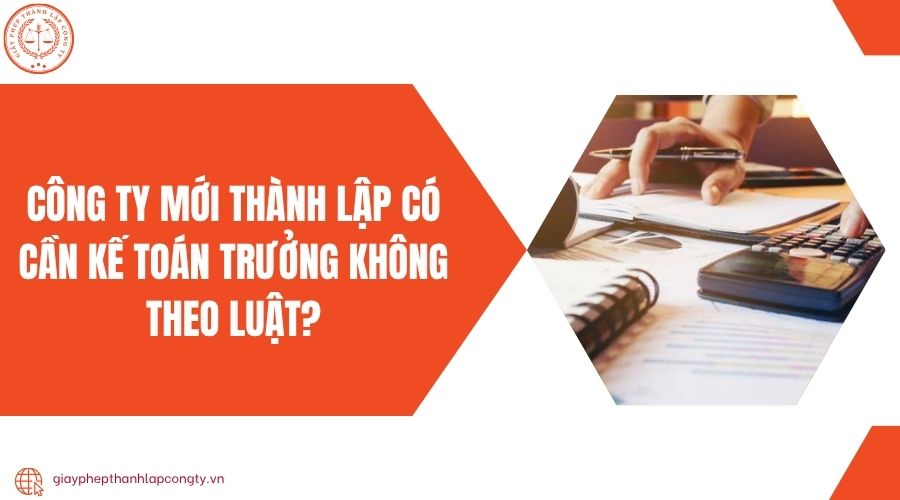 Công ty mới thành lập có cần kế toán trưởng không theo luật?