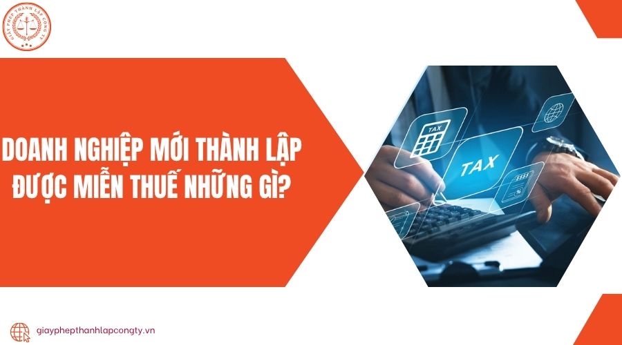 Doanh nghiệp mới thành lập được miễn thuế những gì?
