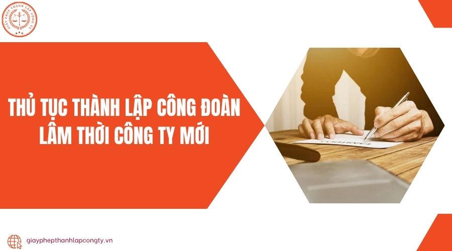 Thủ tục thành lập công ty phi lợi nhuận đúng quy định