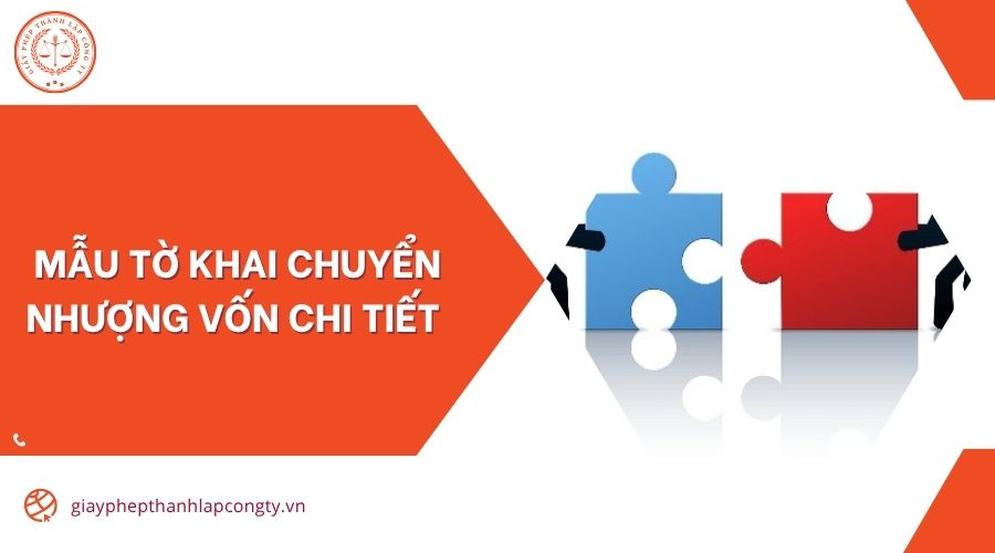 Mẫu tờ khai chuyển nhượng vốn chi tiết